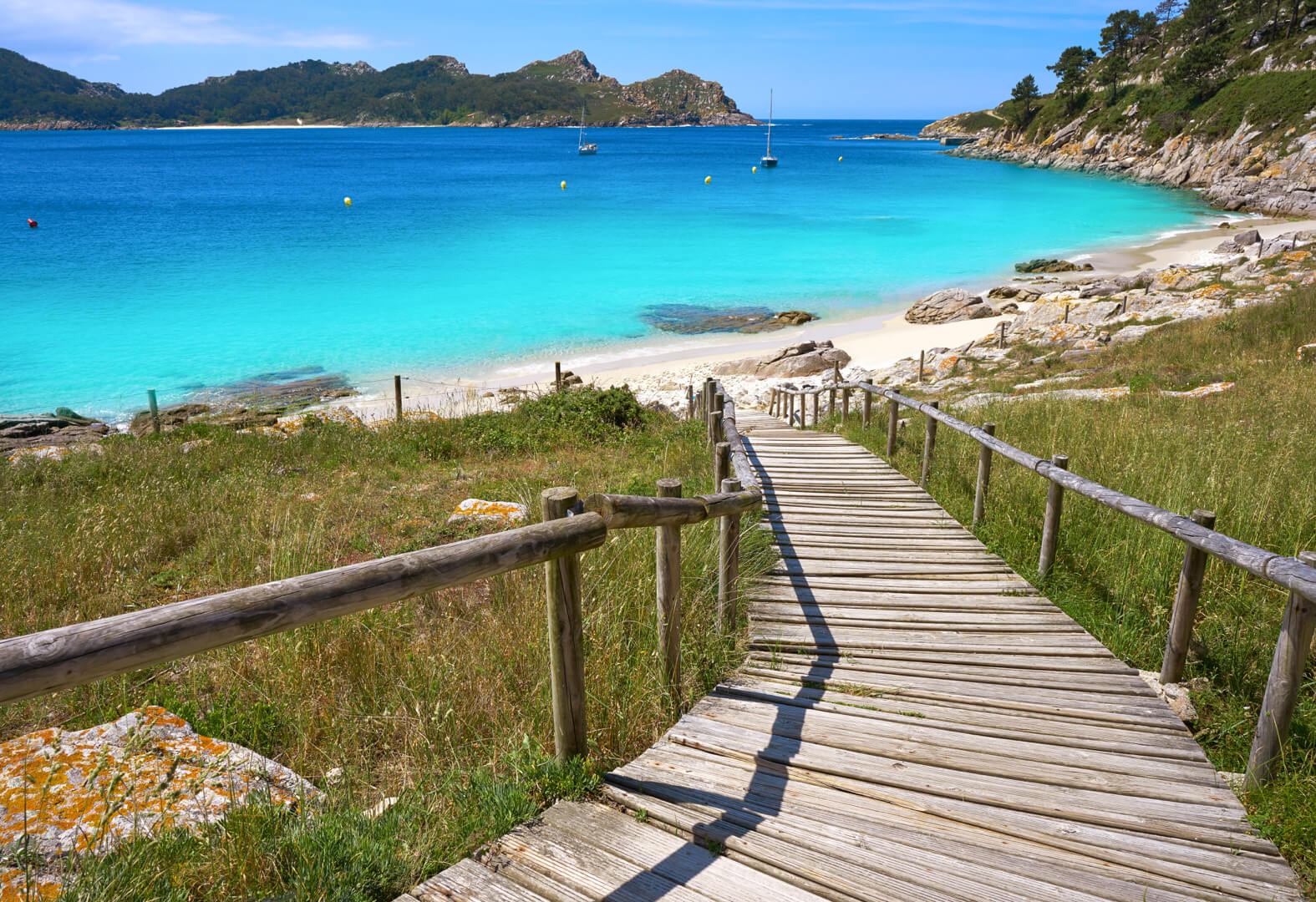 imagina Cordero conjunción Visita las islas cíes desde Vigo y conoce la playa de Rodas
