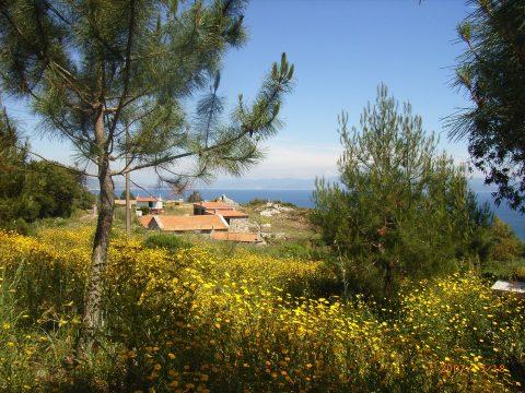 Isla de Ons alojamiento