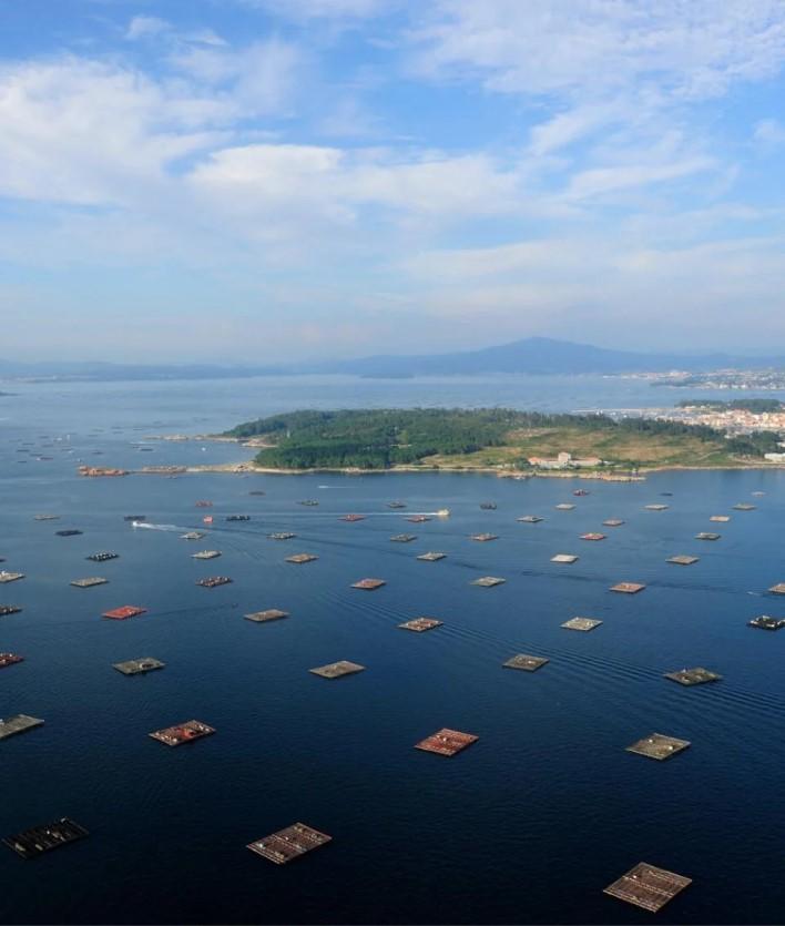 cruceros-rias-baixas-barco-mejillones
