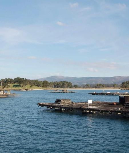 inicio-2023-09-05-inicio-2